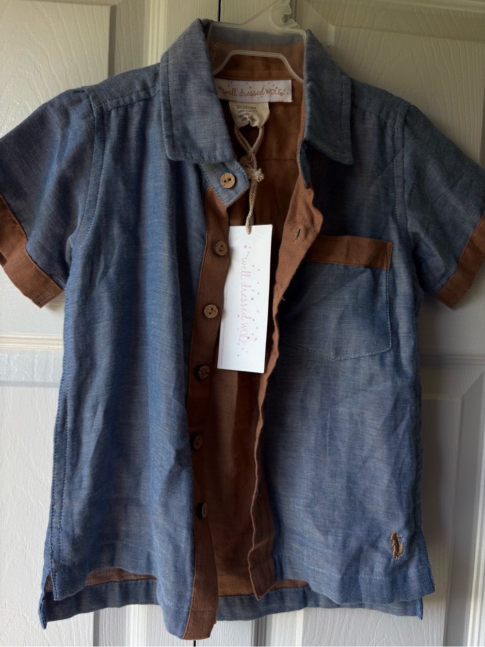 Well Dressed Wolf Blue and Brown Short-Sleeve Button-Down Shirt